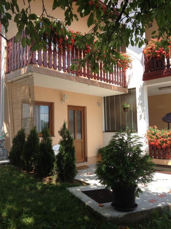 Guesthouse Ante Hodak سيليست دريزنيكو المظهر الخارجي الصورة