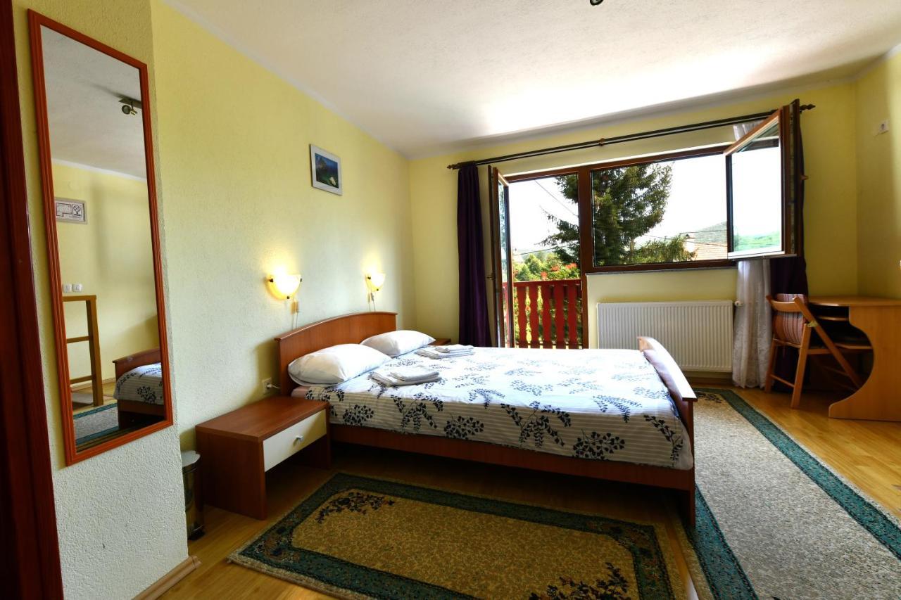 Guesthouse Ante Hodak سيليست دريزنيكو المظهر الخارجي الصورة