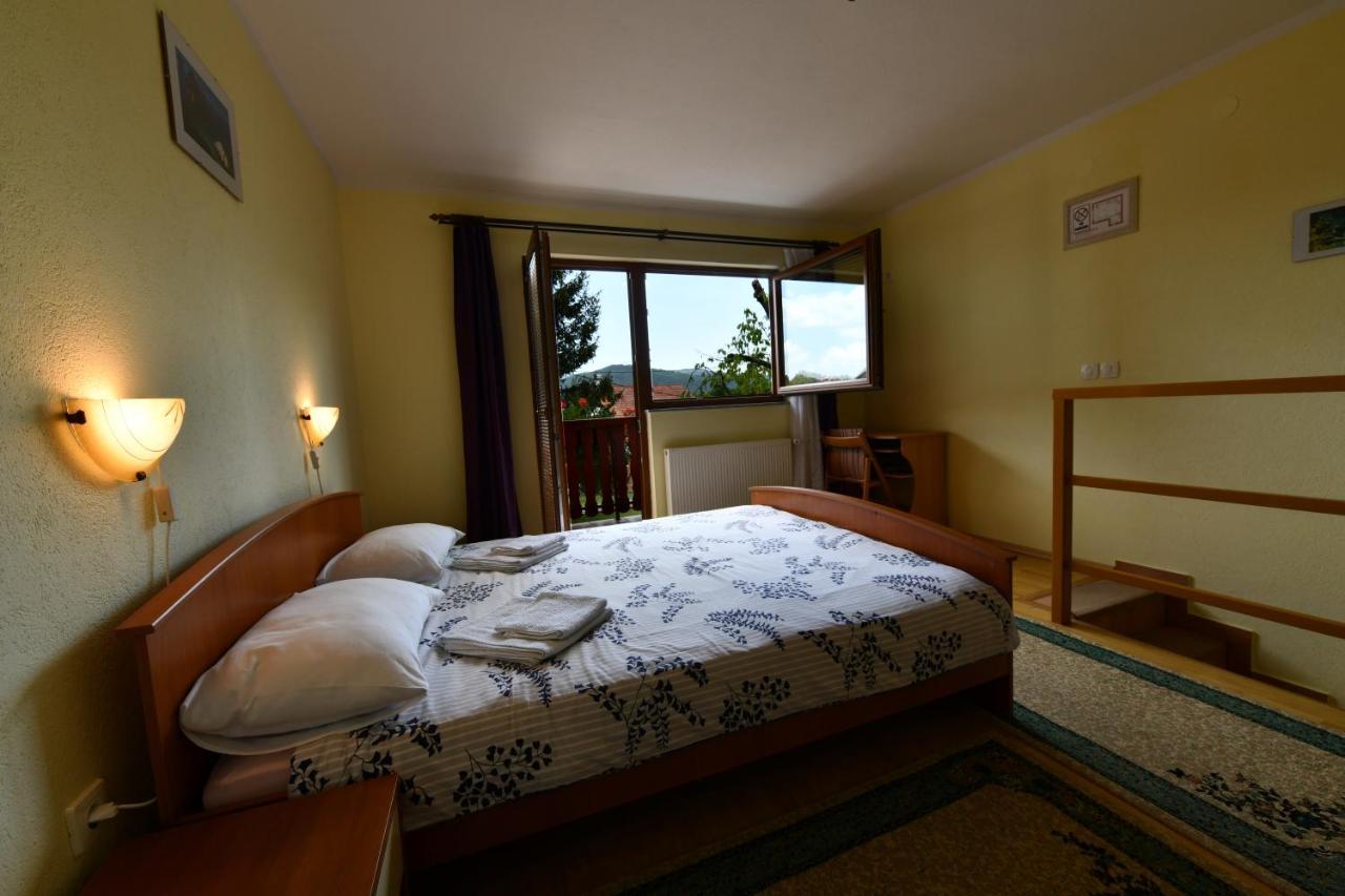 Guesthouse Ante Hodak سيليست دريزنيكو المظهر الخارجي الصورة