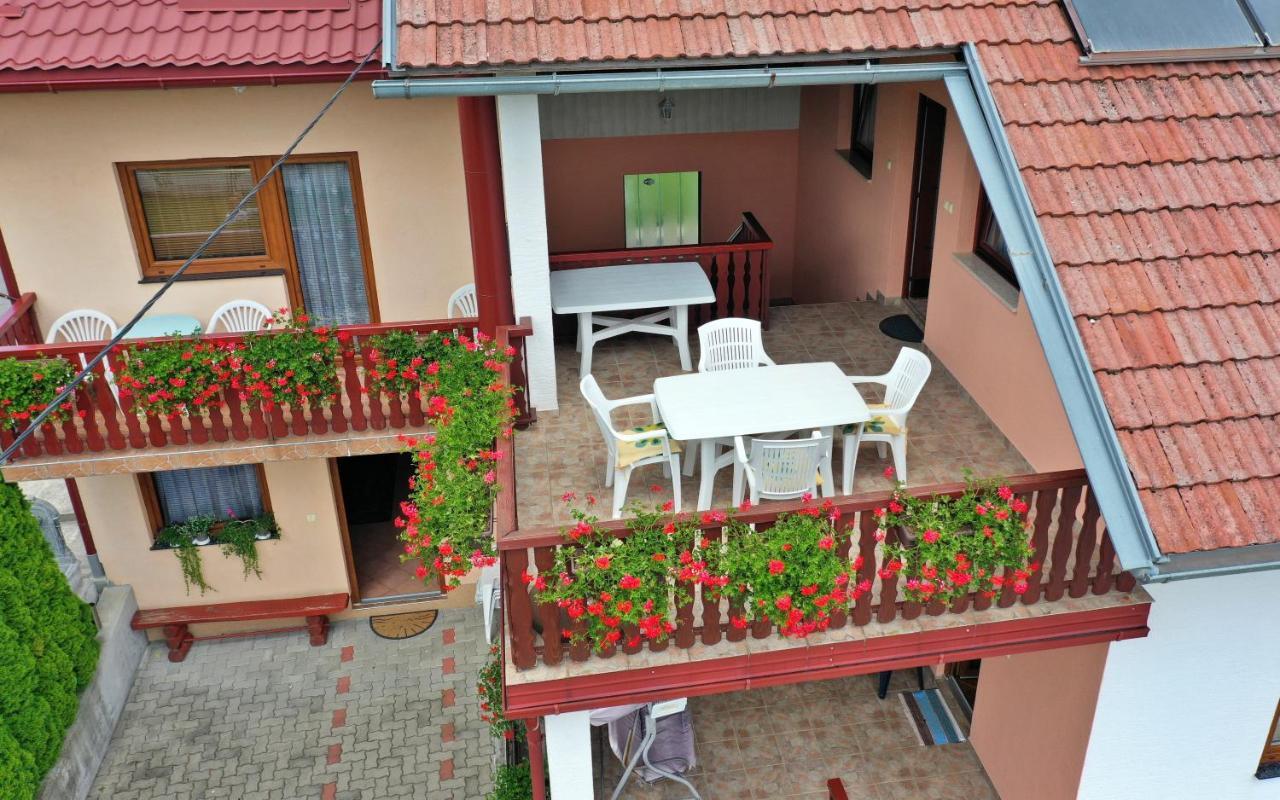 Guesthouse Ante Hodak سيليست دريزنيكو المظهر الخارجي الصورة